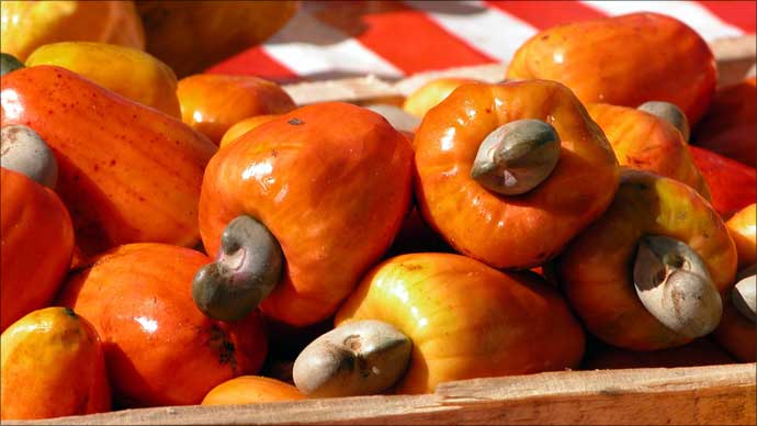 Simple pleasures: Freshly-squeezed juice from the fruit of the caju, sweetened and servered ice-cold. Plus, you can roast, then eat the nut.